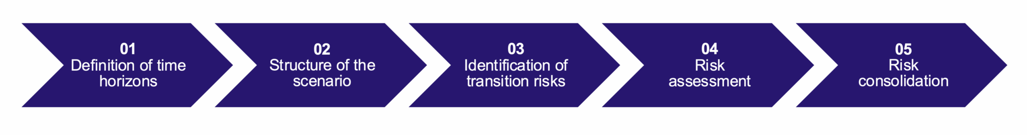 Figure 13 : Process for assessing transition risks for the Zeppelin Group