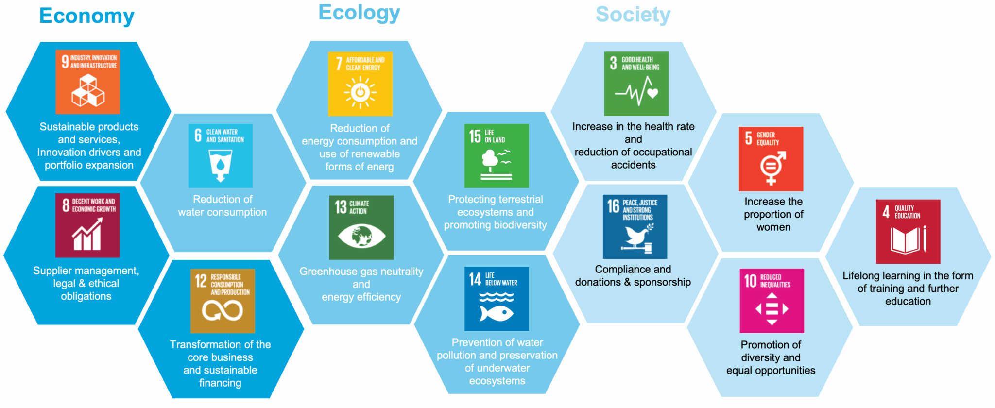 Figure 5 : Zeppelin’s contribution to the UN Sustainable Development Goals (SDGs)